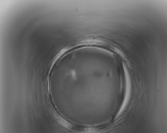 X0000081471275200701191756