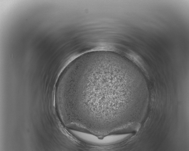 X0000081471276200701191756