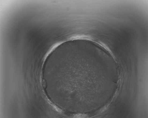 X0000081471277200701191756