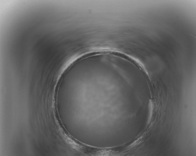 X0000081471279200701191756