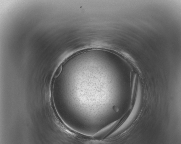 X0000081471280200701191756