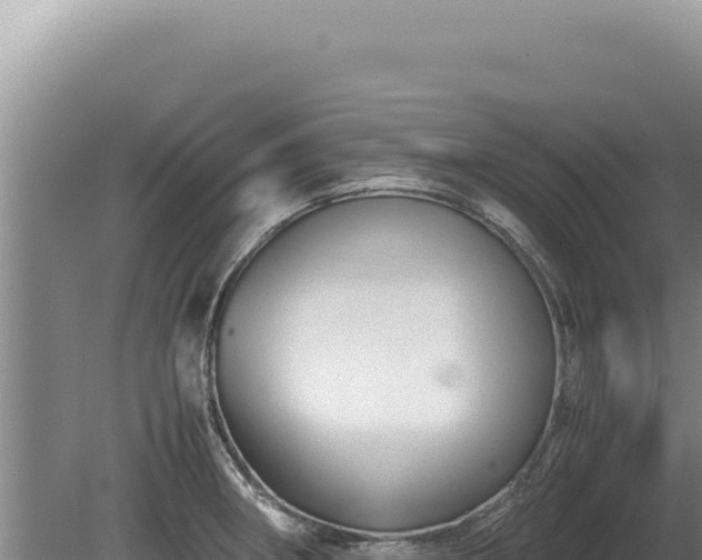 X0000081471282200701191756