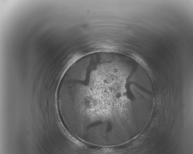 X0000081471283200701191756