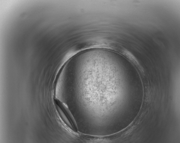 X0000081471284200701191756