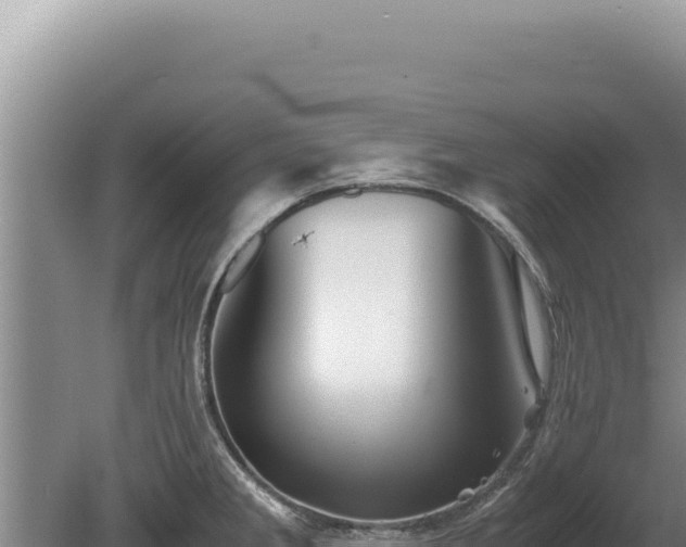 X0000081471285200701191756