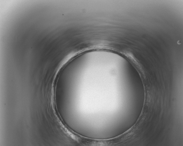 X0000081471286200701191756