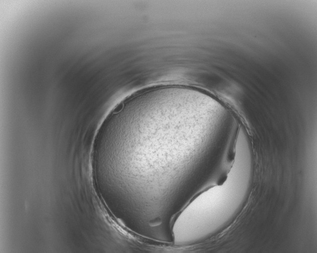 X0000081471288200701191756