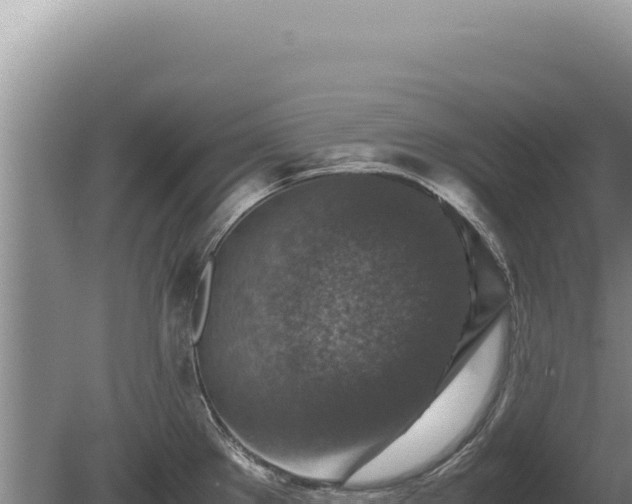 X0000081471289200701191756