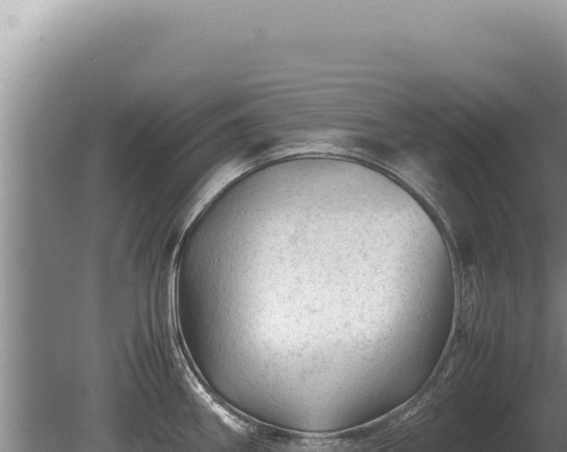 X0000081471290200701191756