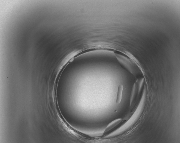 X0000081471293200701191756