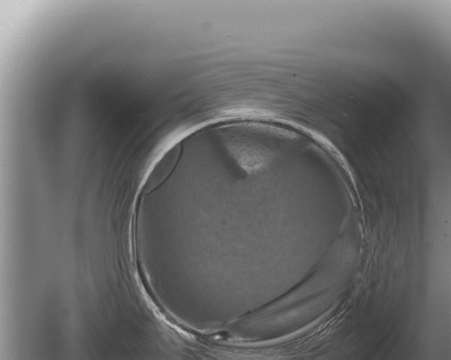 X0000081471295200701191756