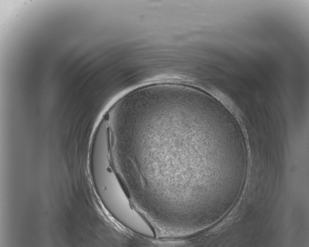 X0000081471296200701191756