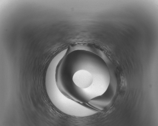X0000081471300200701191755