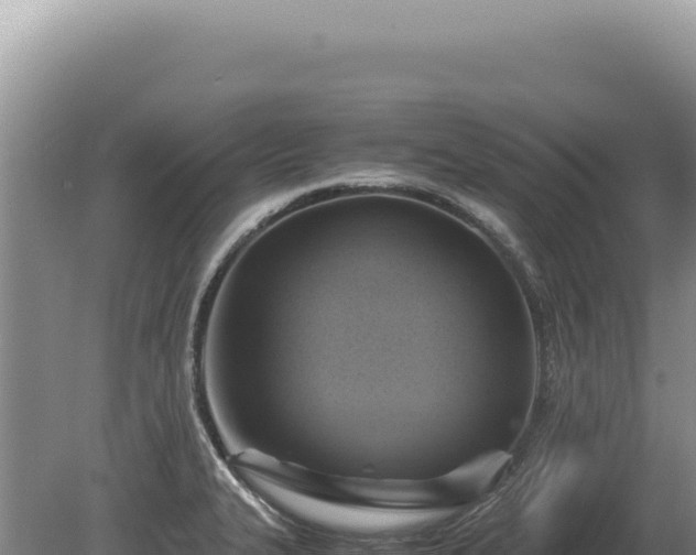 X0000081471327200701191756