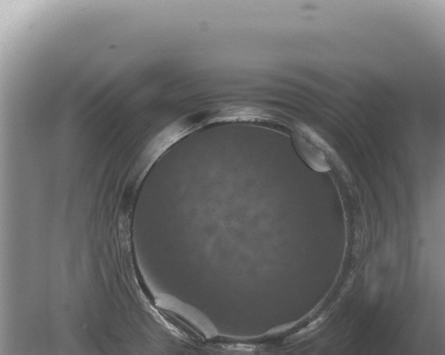 X0000081471329200701191756