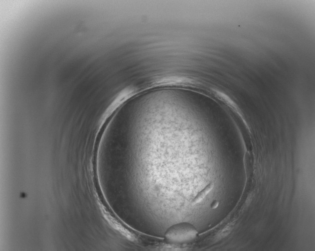 X0000081471330200701191756