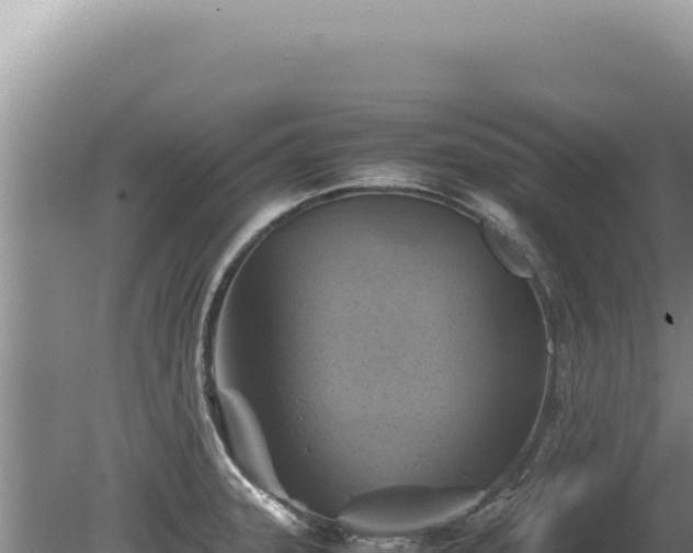 X0000081471331200701191756