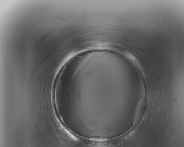 X0000081471334200701191756