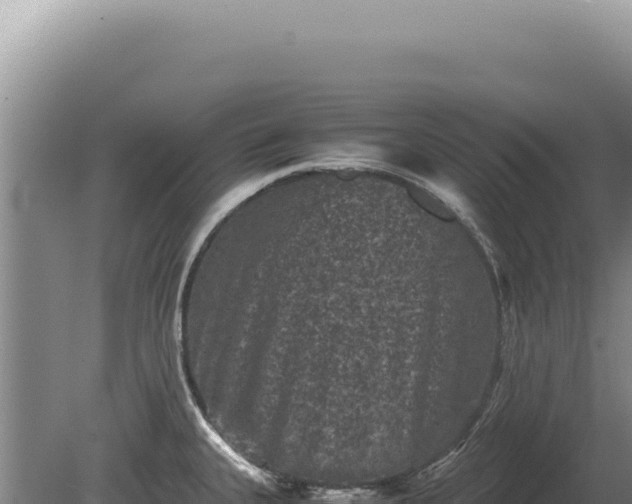 X0000081471335200701191756