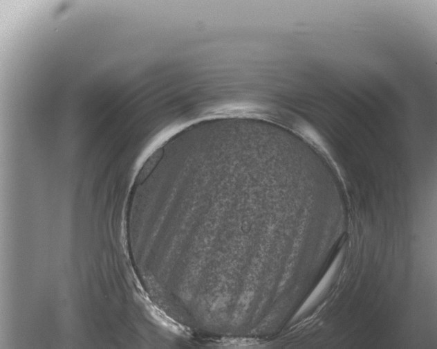 X0000081471336200701191756