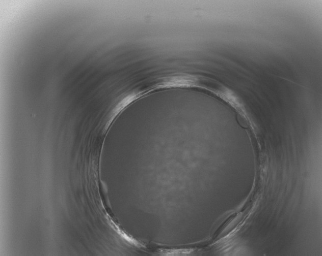 X0000081471337200701191756