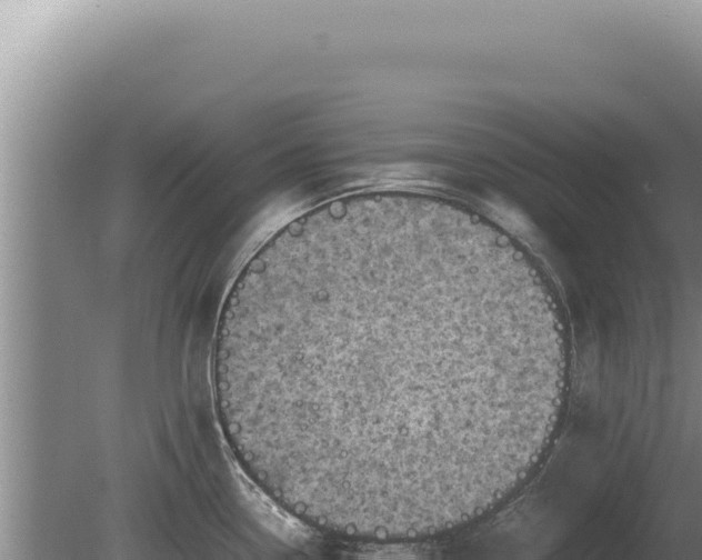 X0000081471338200701191756