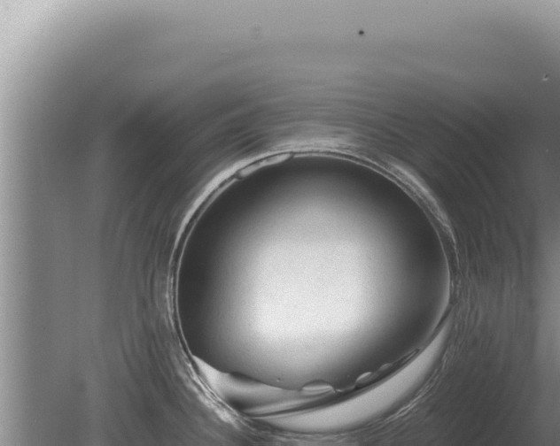 X0000081471340200701191756