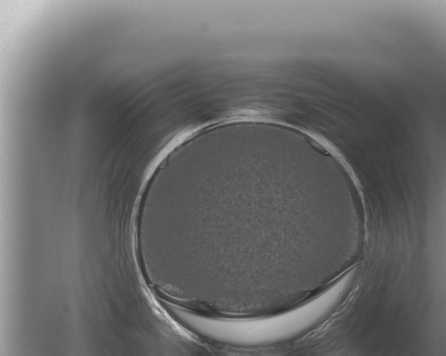 X0000081471341200701191756