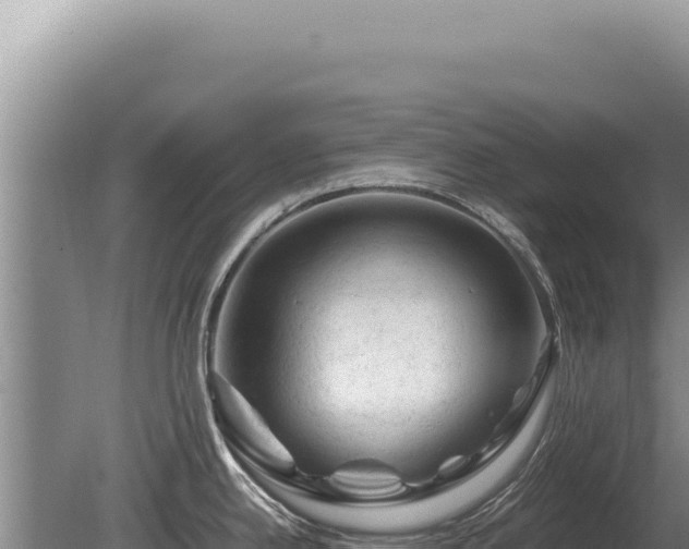 X0000081471342200701191756