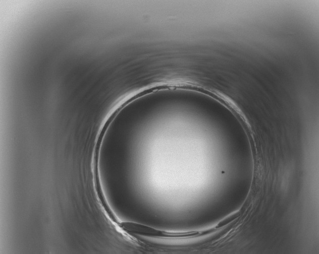 X0000081471343200701191756