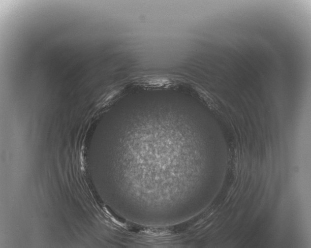 X0000081471394200701191753