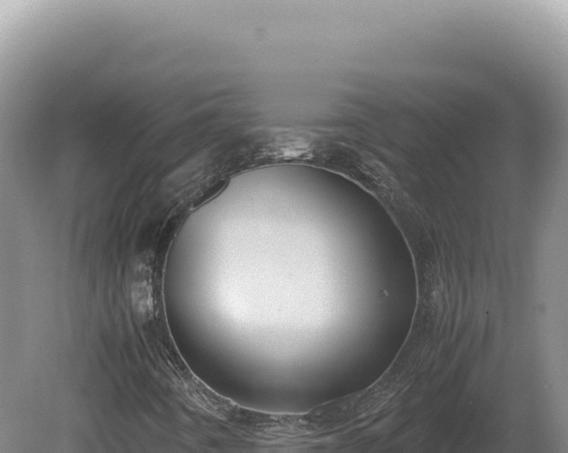 X0000081471442200701191753