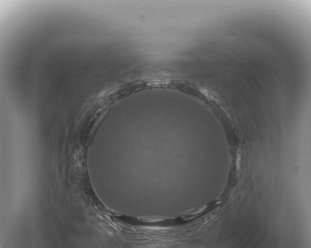 X0000081471445200701191753
