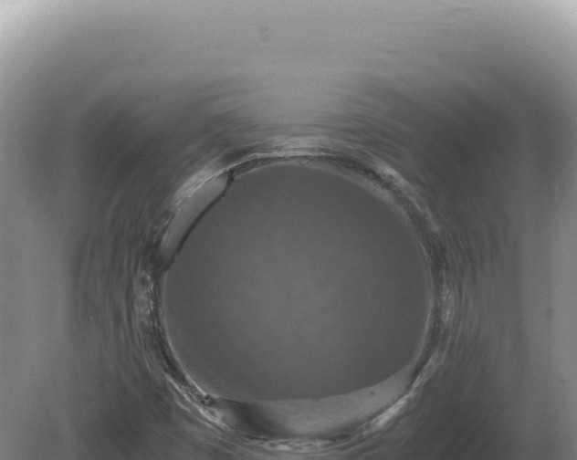 X0000081471449200701191753