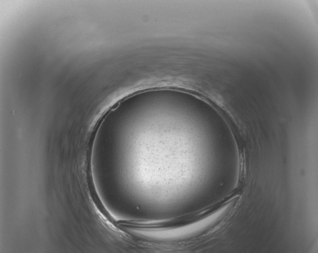 X0000081471500200701191752