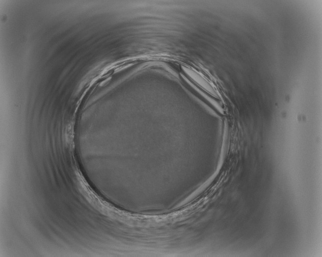 X0000081470002200701262014