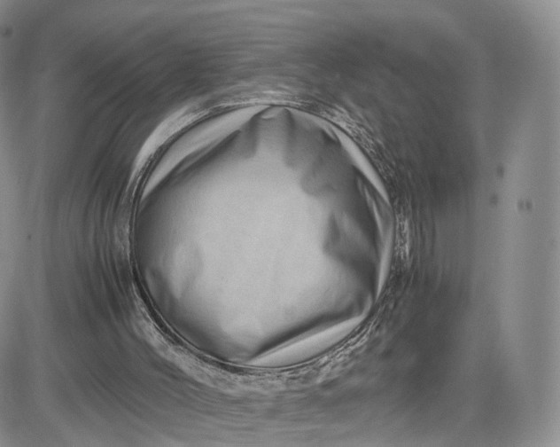 X0000081470004200701262014