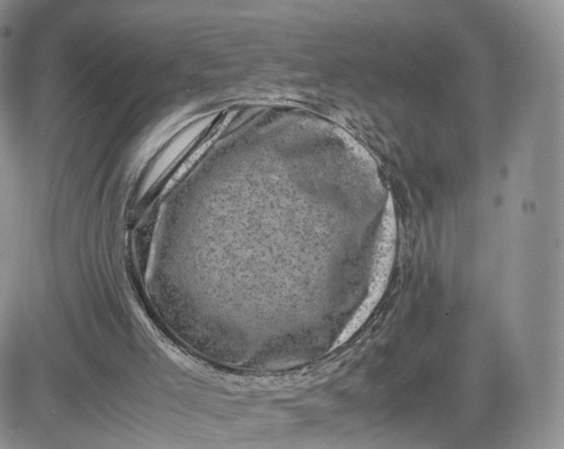 X0000081470005200701262014