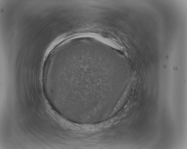 X0000081470006200701262014