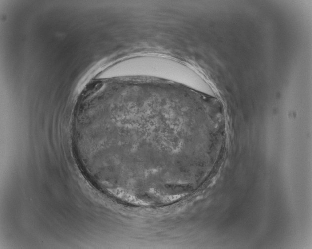 X0000081470007200701262014