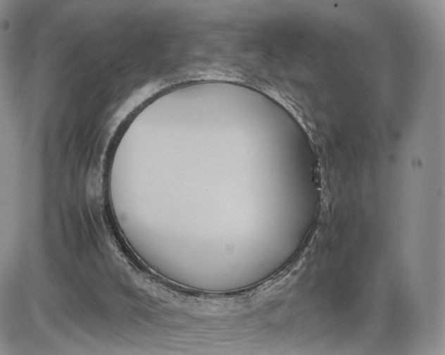 X0000081470008200701262014