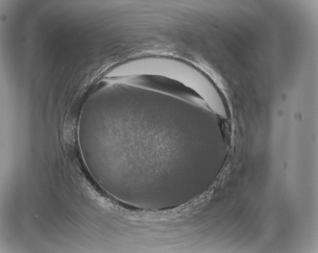 X0000081470009200701262014