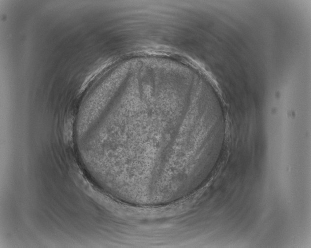 X0000081470010200701262014