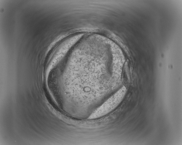 X0000081470011200701262014