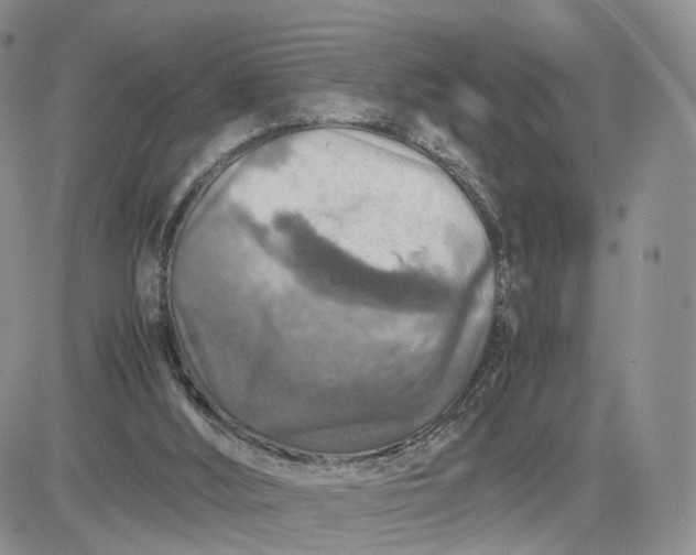 X0000081470012200701262014