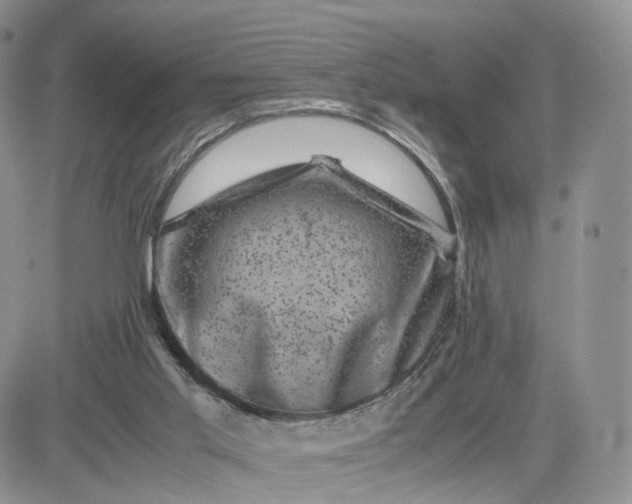 X0000081470013200701262014