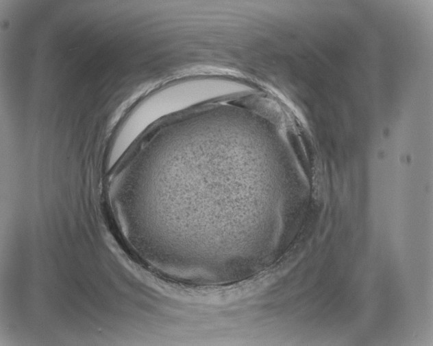 X0000081470015200701262014