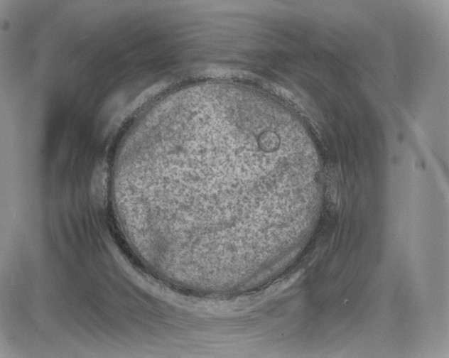 X0000081470016200701262014