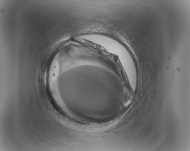 X0000081470019200701262014