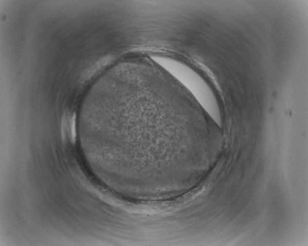 X0000081470020200701262014